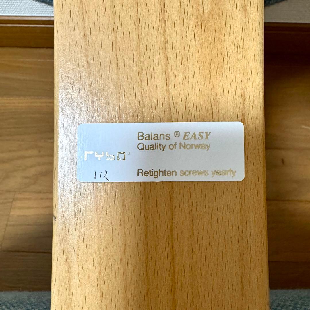 【minipham】 バランスイージー Rybo リボ社 カバー付き