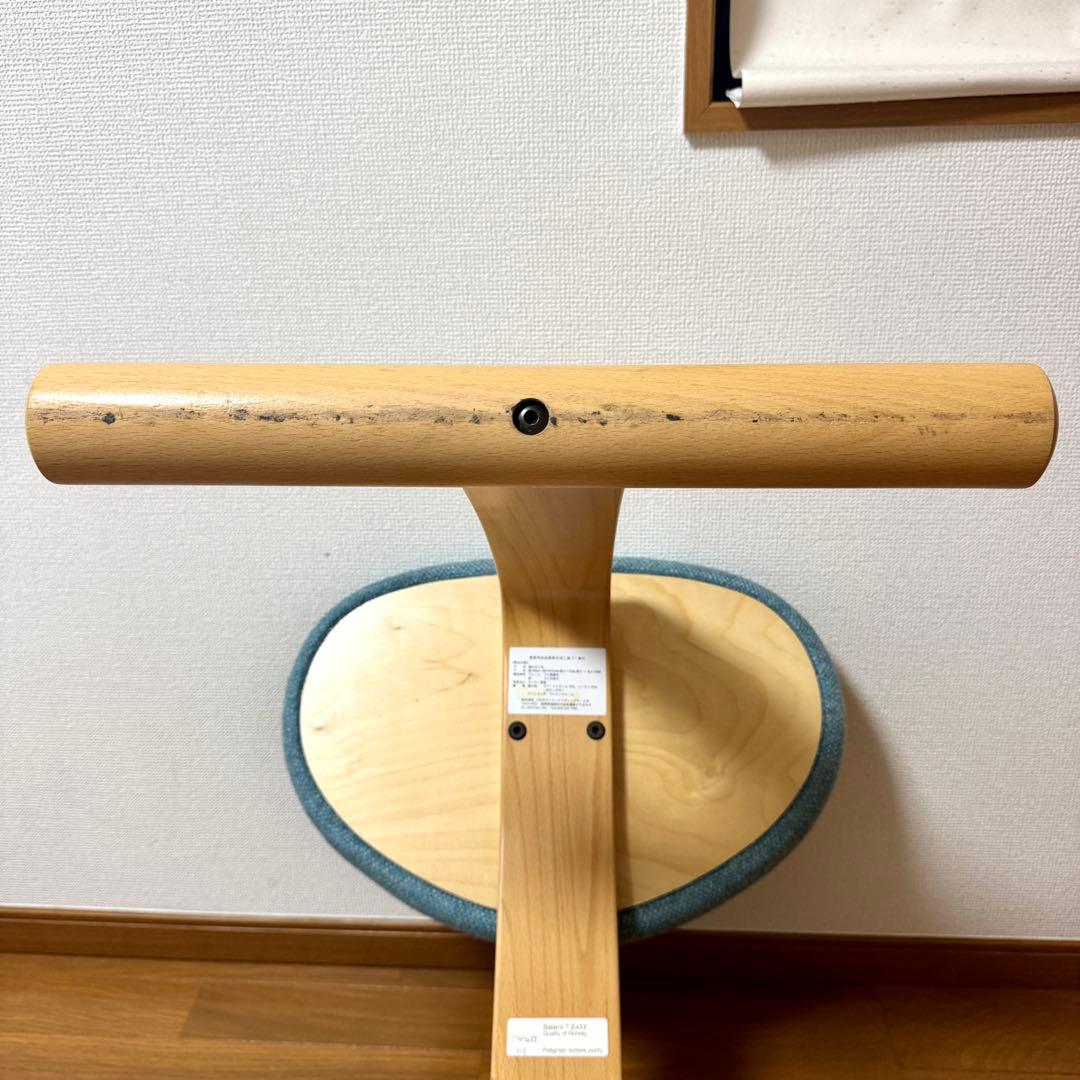 【minipham】 バランスイージー Rybo リボ社 カバー付き