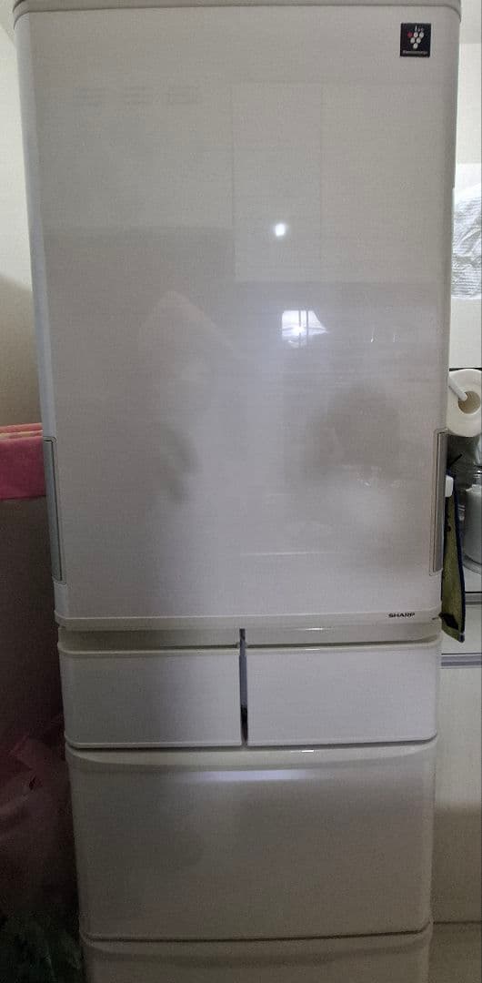 【5/5まで】SHARP 冷蔵庫 SJ-PW41C ホワイト　設置まで