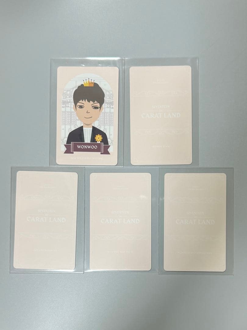 【1256】SEVENTEEN CARAT LAND 2018 ウォヌ Aset