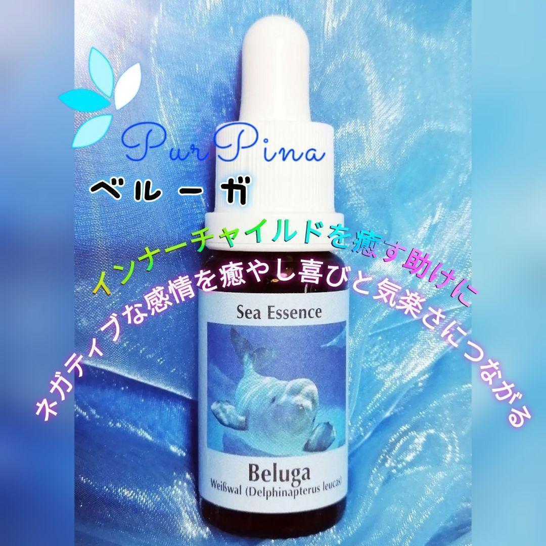 【専用】イルカ(デルフ)[ドルフィン] コルテPHI フラワーエッセンス他