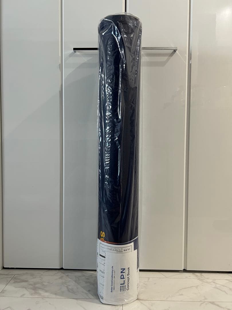 未開封 ストレッチポールEX