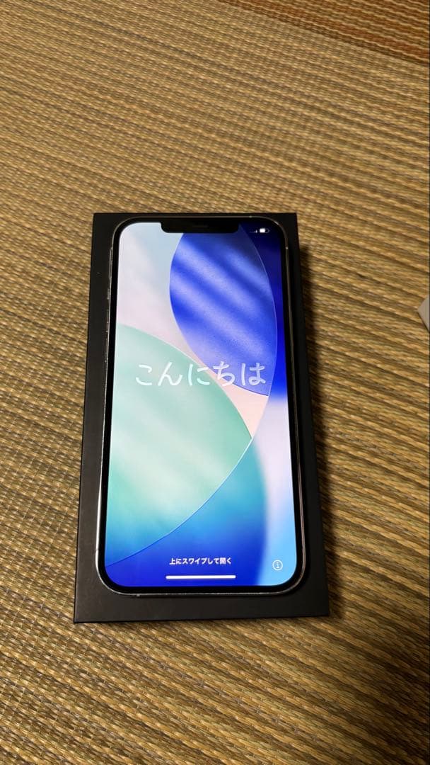 Apple iPhone 12 Pro Max グラファイト