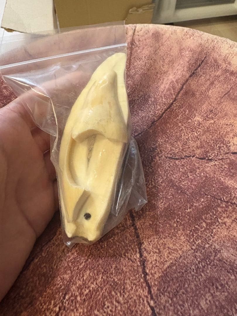 激レア材！シャチの歯