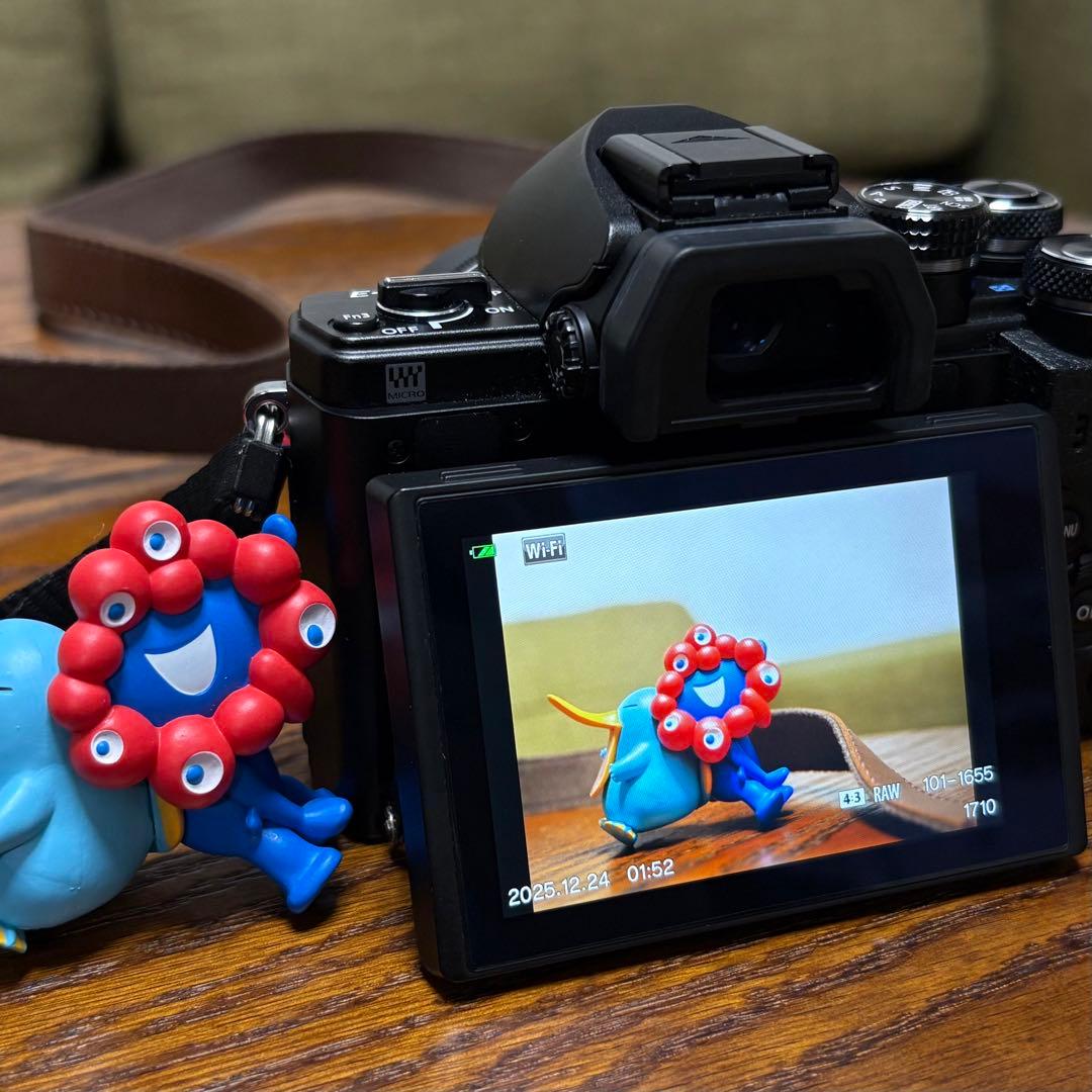 OLYMPUS E-M10 MKⅡ ダブルズーム+30mm F1.4 DC DN