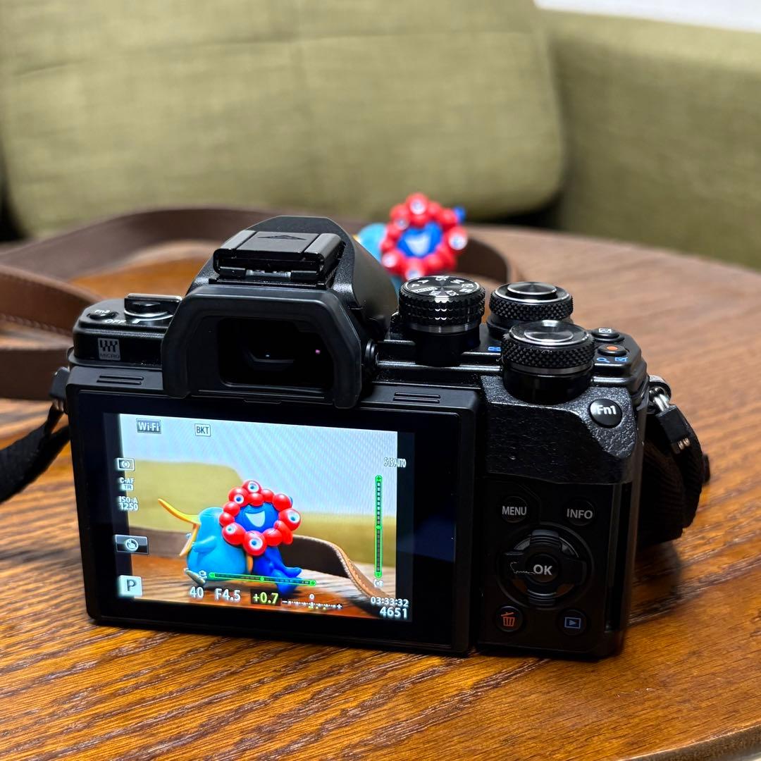 OLYMPUS E-M10 MKⅡ ダブルズーム+30mm F1.4 DC DN