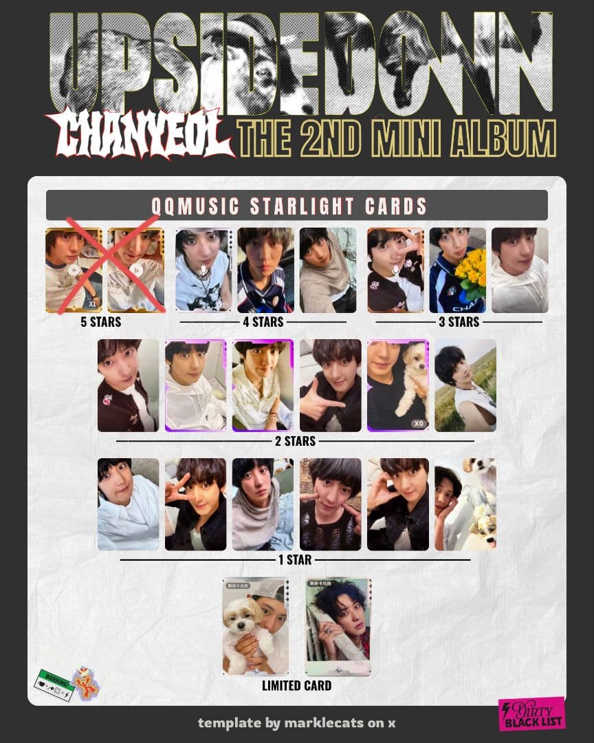 チャニョル UPSIDE DOWN 中華 QQ music トレカ 20枚セット