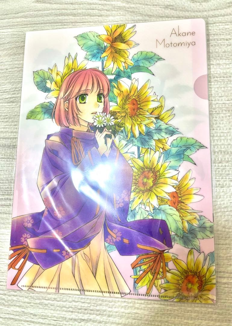 【未開封品】遥か二十年祭　記念セット　パンフレット豪華版　クリアファイル4枚組