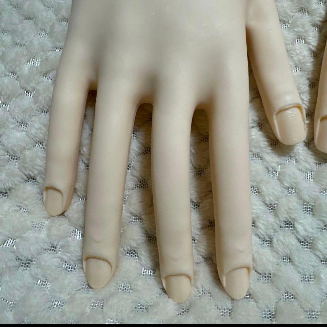 ネイリスト検定セット 認定モデルハンド