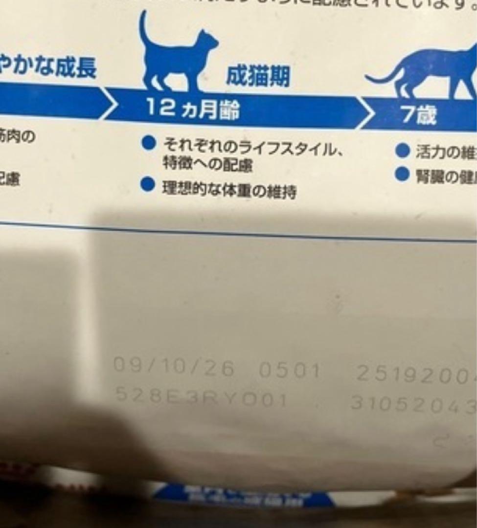  CANIN インドア ロングヘアー 4kg【新品未開封】