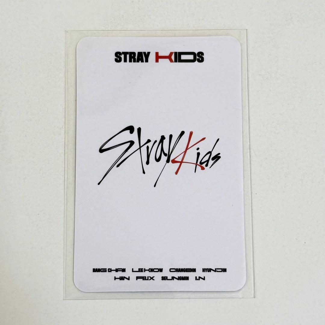 スンミン　トレカ　GO生　withfans 中華