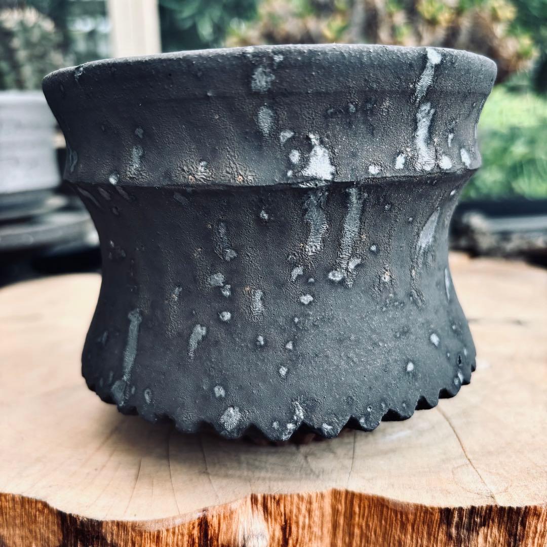 短期間限定大幅値下げ！新品未使用 菊地元野 作家鉢 アガベ パキプス グラキリス