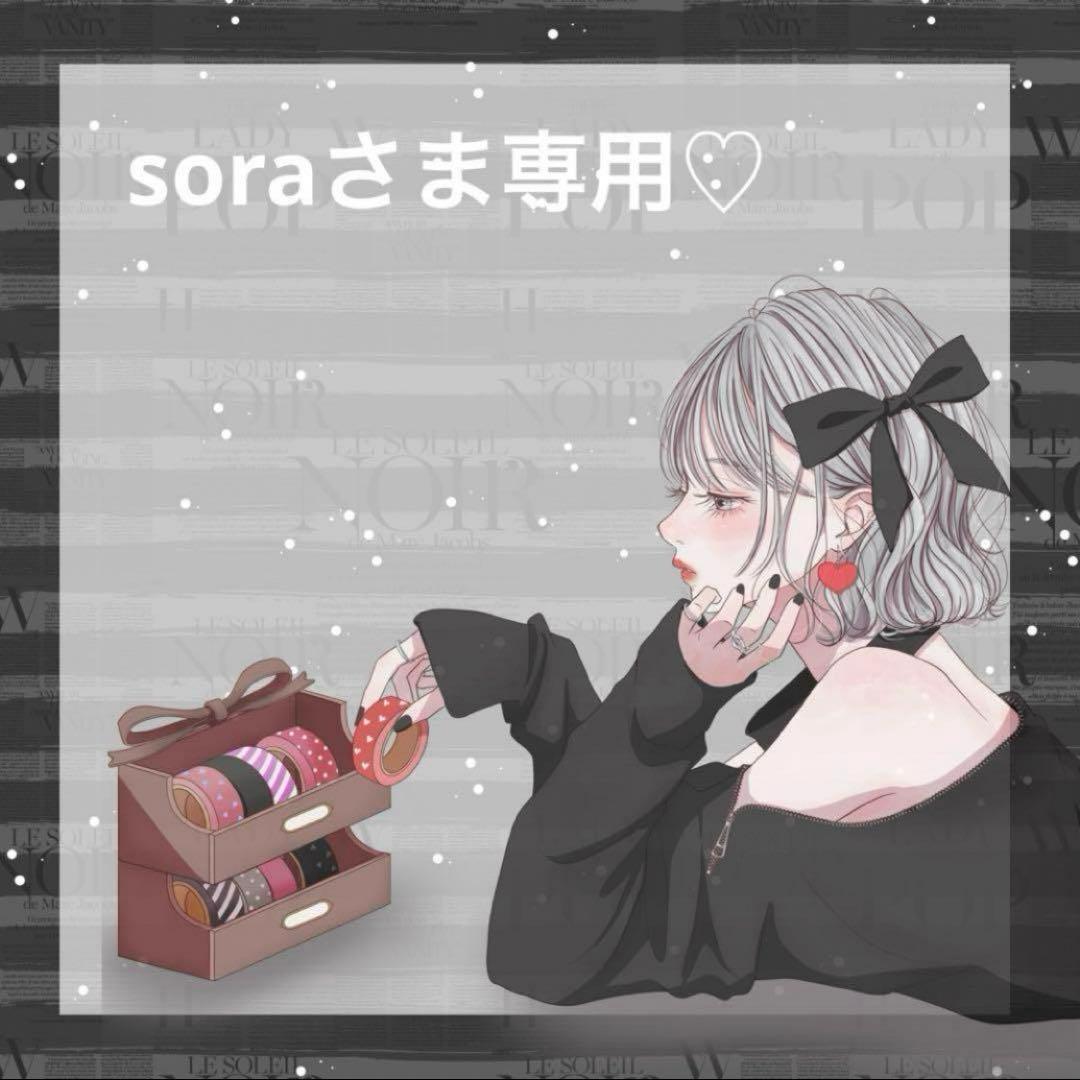 ♡soraさま専用♡