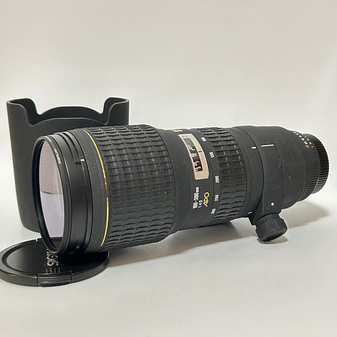 SIGMA APO 100-300mm F4 EX DG HSM ニコン