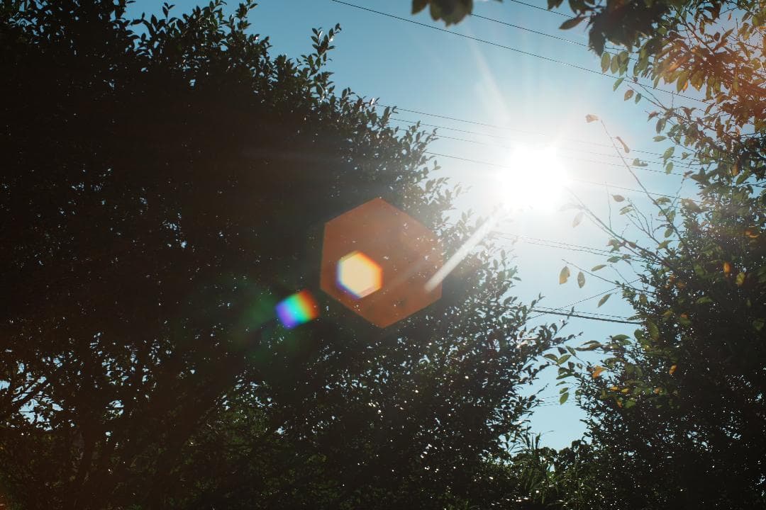 柔らかさと透明感が同居　EBC Fujinon 50mm F1.4 423