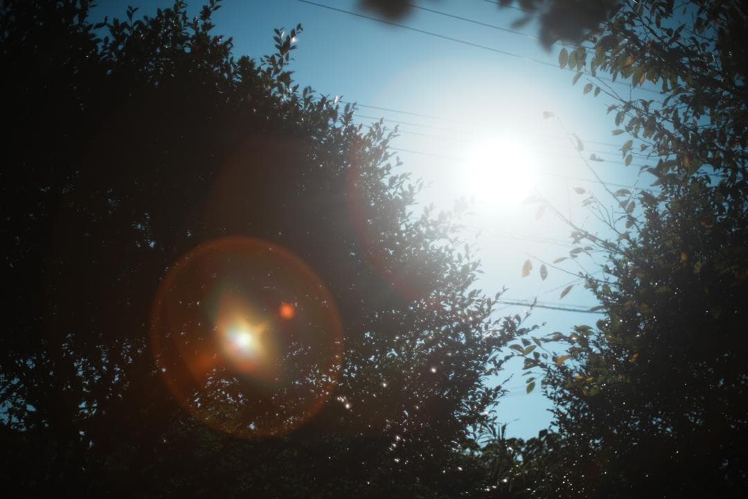 柔らかさと透明感が同居　EBC Fujinon 50mm F1.4 423