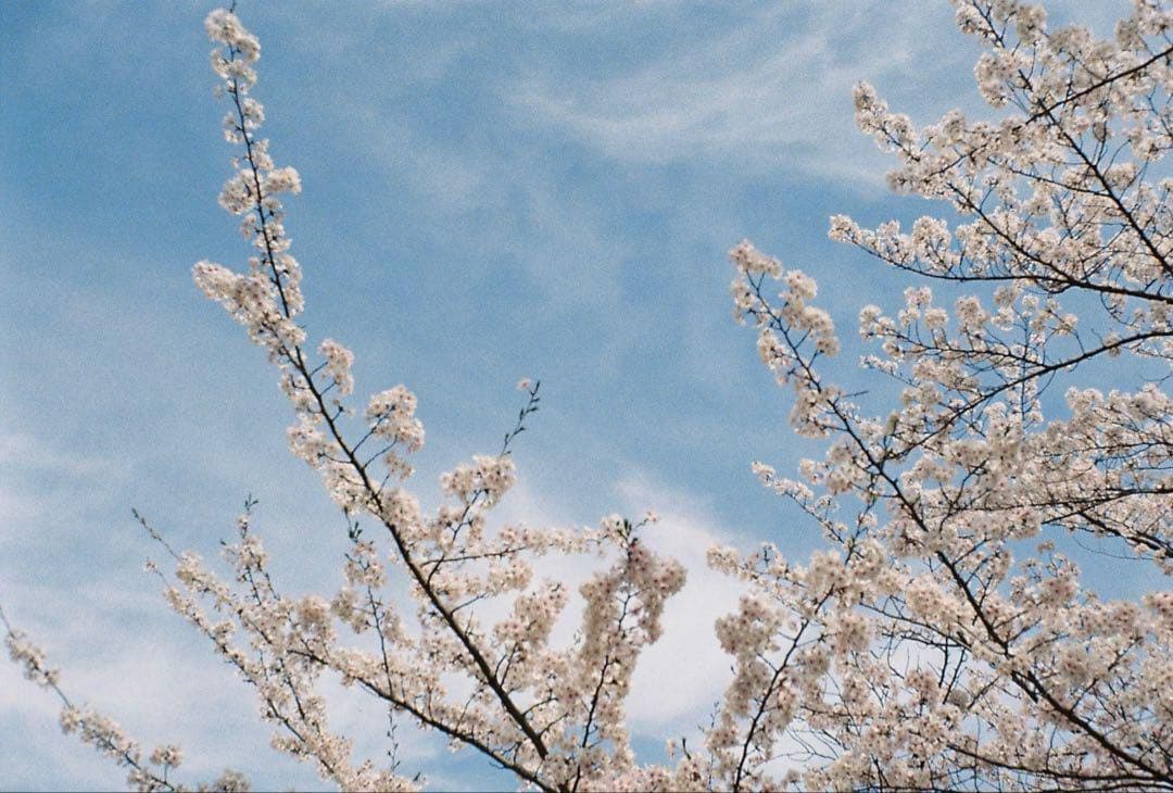 Rollei35・ケース・ストラップ・UVフィルター・変換アダプター・キャップ