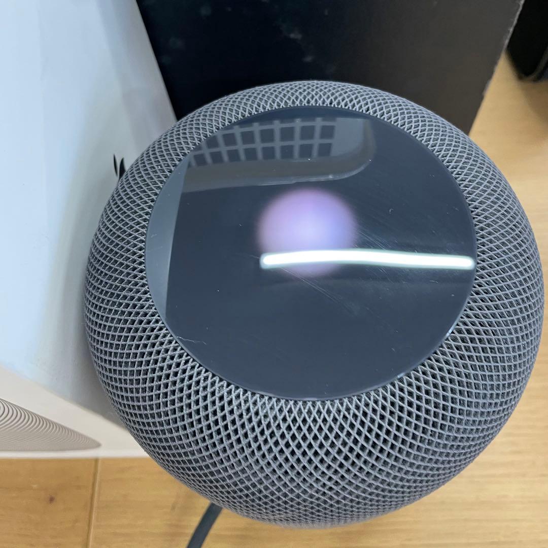 動作品 Apple Pod 第1世代 MQHW2J/A A1639