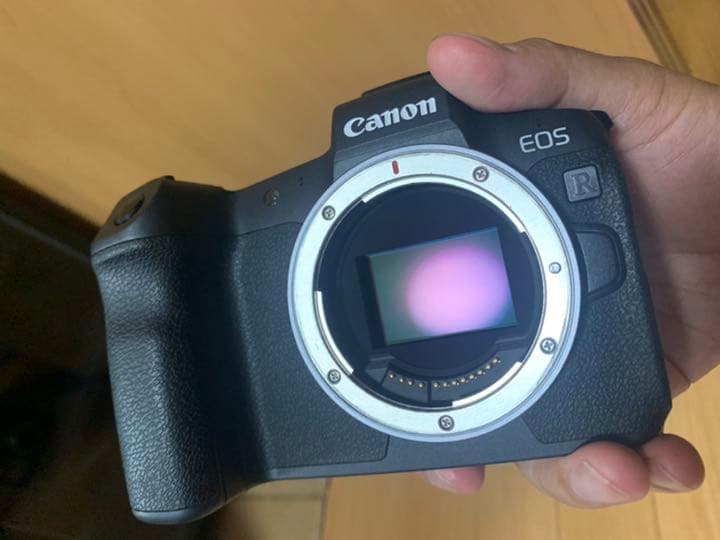 EOS R （バッテリーグリップ付）