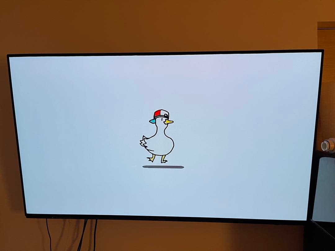 Panasonic TH-55HZ1000 55インチ