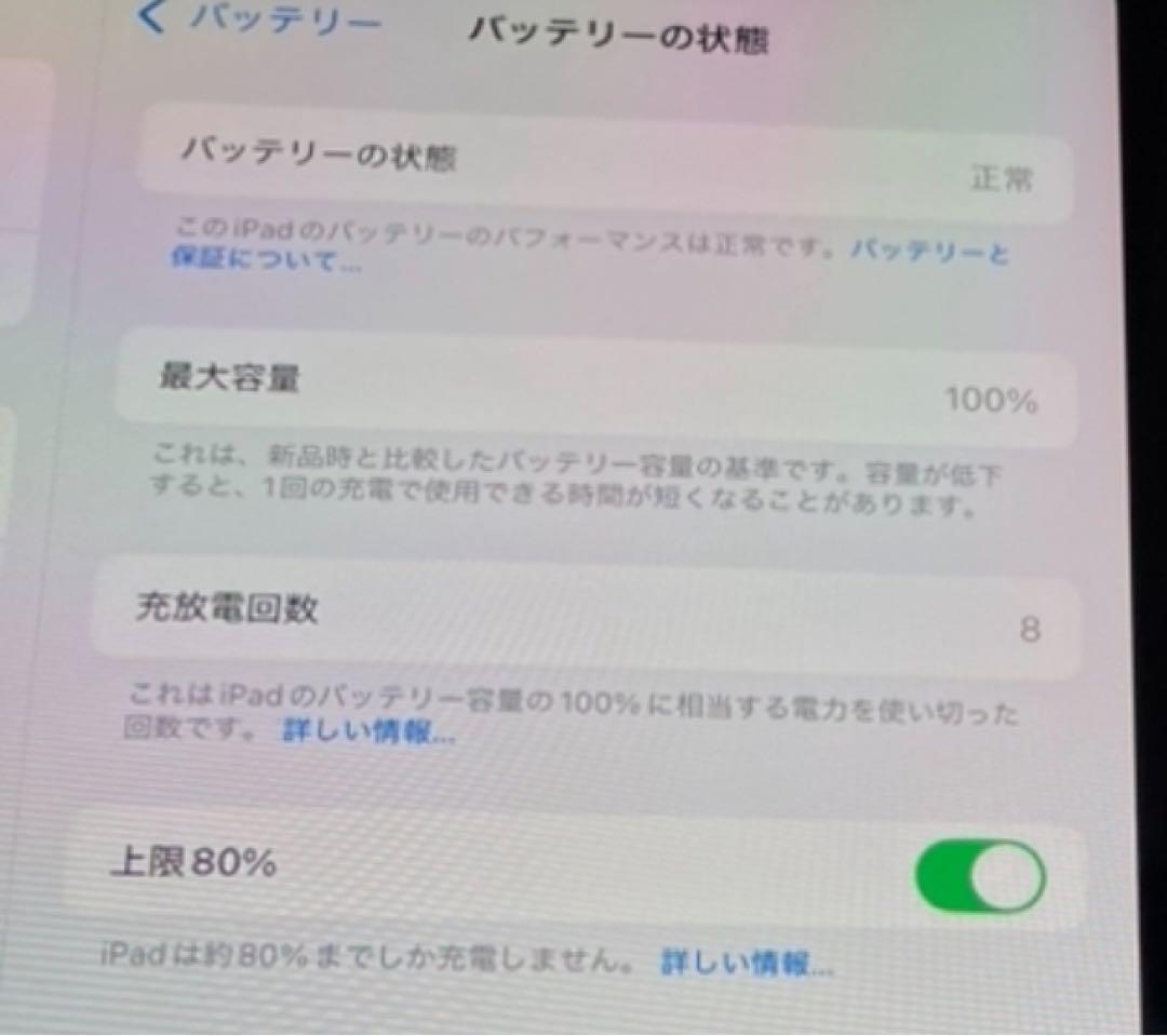 iPad mini 第7世代 8.3インチ　Wi-Fiモデル256GB