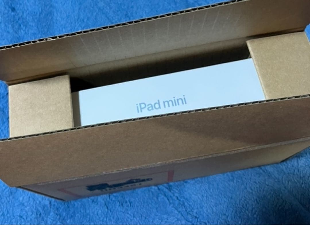 iPad mini 第7世代 8.3インチ　Wi-Fiモデル256GB