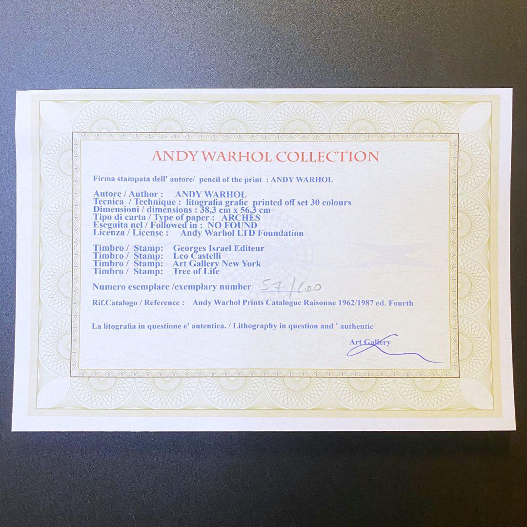 【模写】神級レア!!!! アンディ・ウォーホル カエル リトグラフ 証明書付き