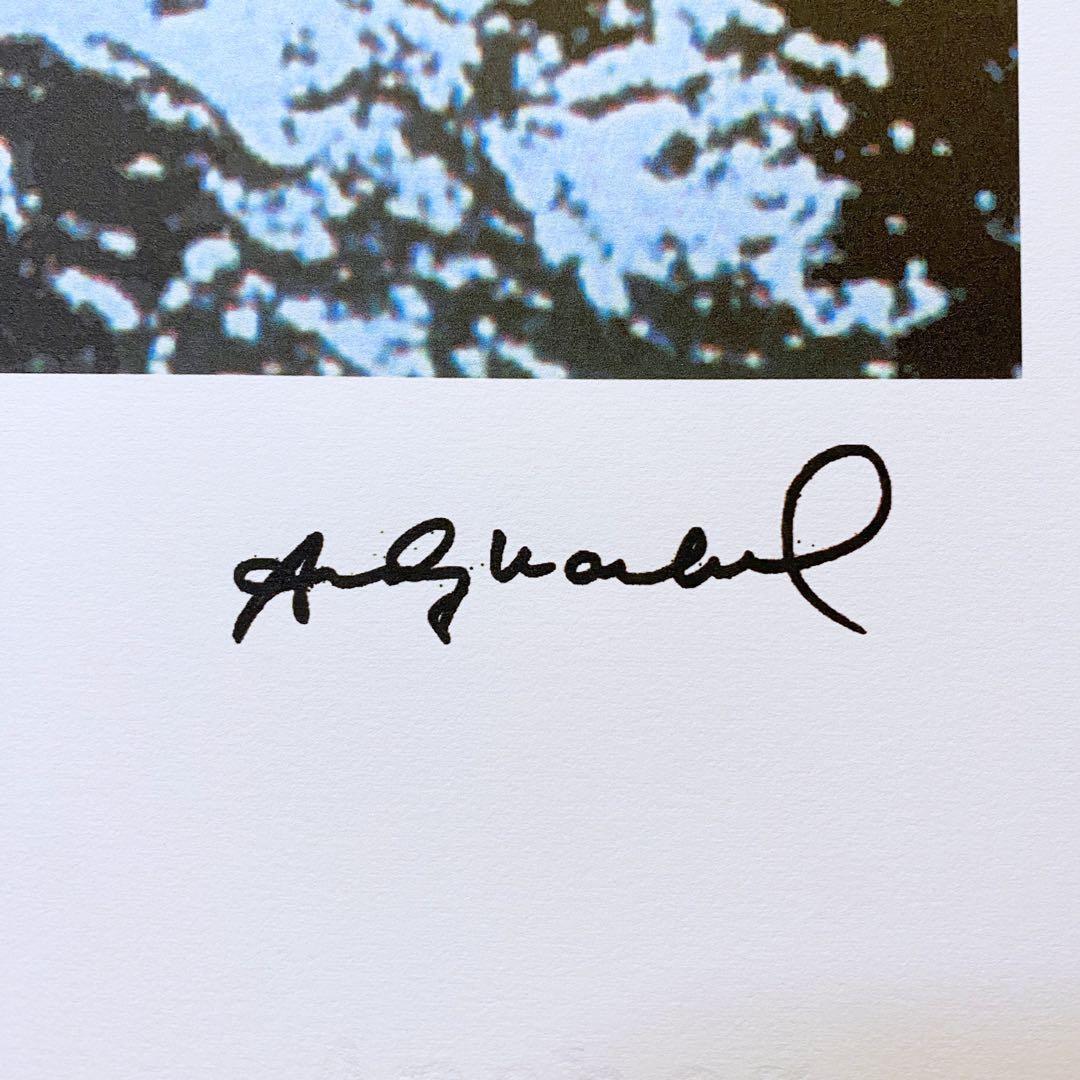 【模写】神級レア!!!! アンディ・ウォーホル カエル リトグラフ 証明書付き