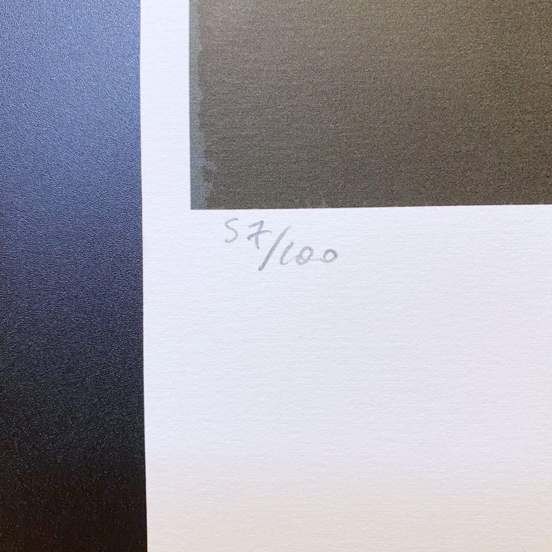 【模写】神級レア!!!! アンディ・ウォーホル カエル リトグラフ 証明書付き