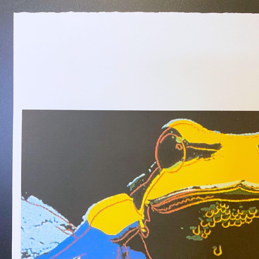 【模写】神級レア!!!! アンディ・ウォーホル カエル リトグラフ 証明書付き