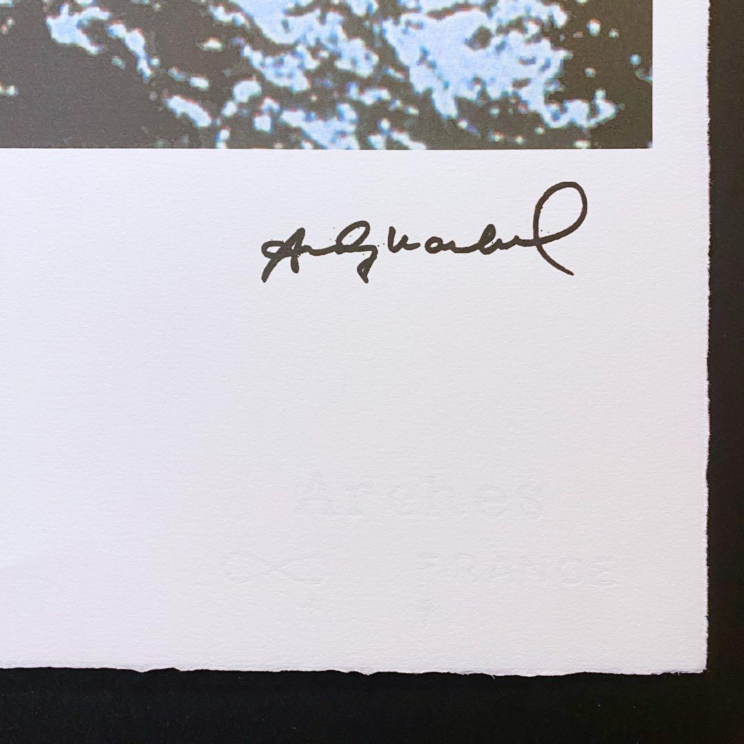 【模写】神級レア!!!! アンディ・ウォーホル カエル リトグラフ 証明書付き