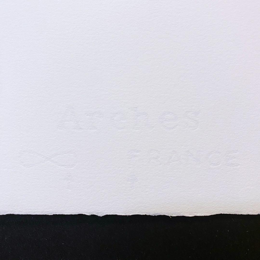 【模写】神級レア!!!! アンディ・ウォーホル カエル リトグラフ 証明書付き