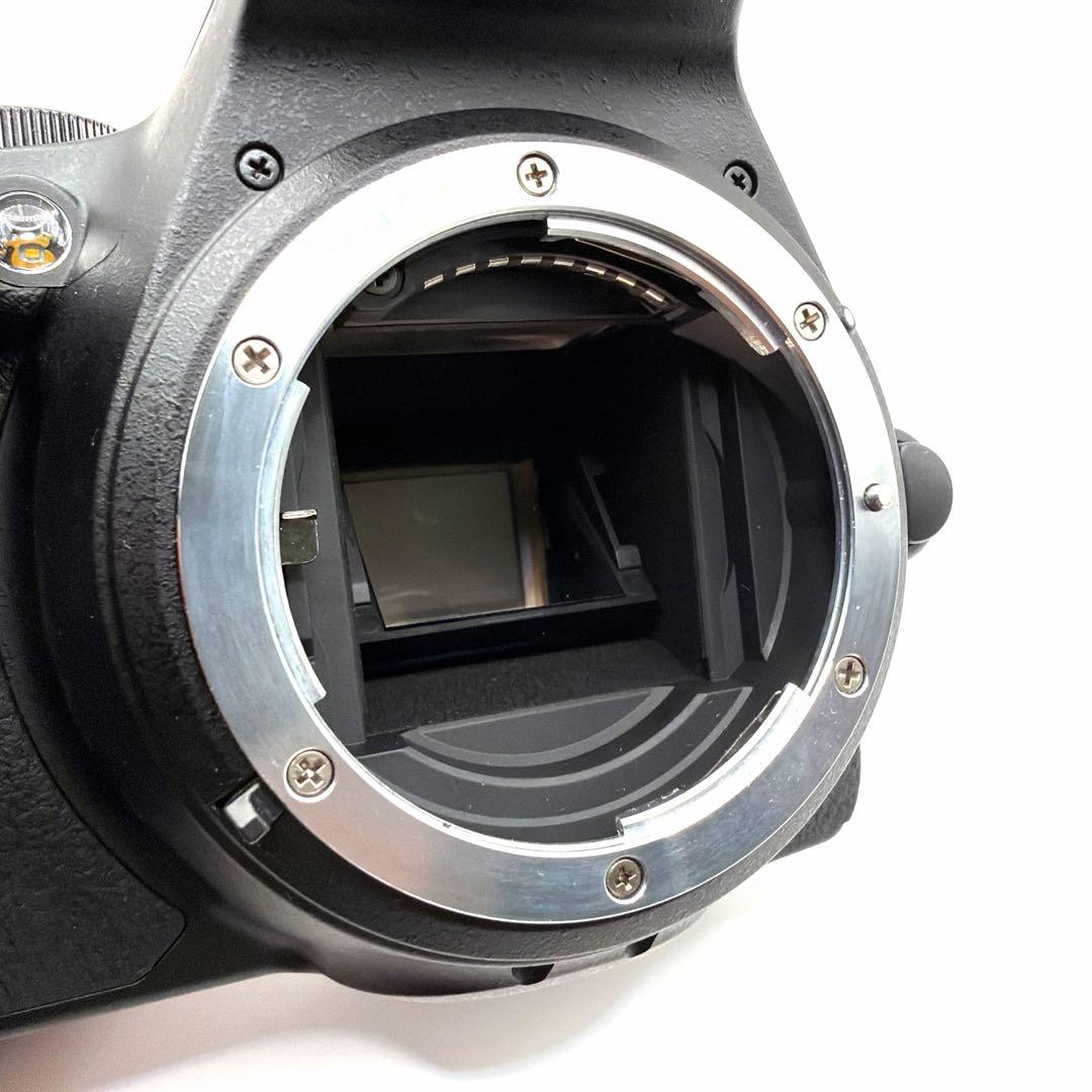 極美品 D5600ダブルズームキット　18-55mm 70-300mm 一眼レフ