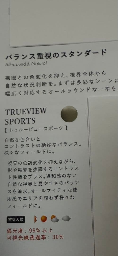 サムライ翔 SAMURAI SHO サングラス タレックスレンズ付き