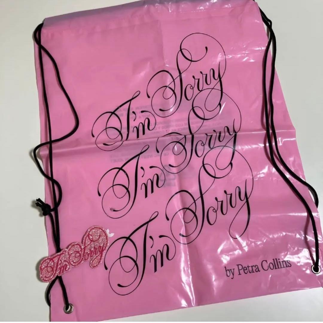 i'm sorry by petra collins newjeans着用