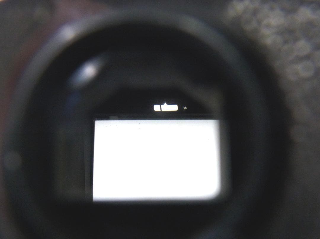 NIKON F フォトミック ボディー＋NIKKOR1.4/50mm単焦点レンズ