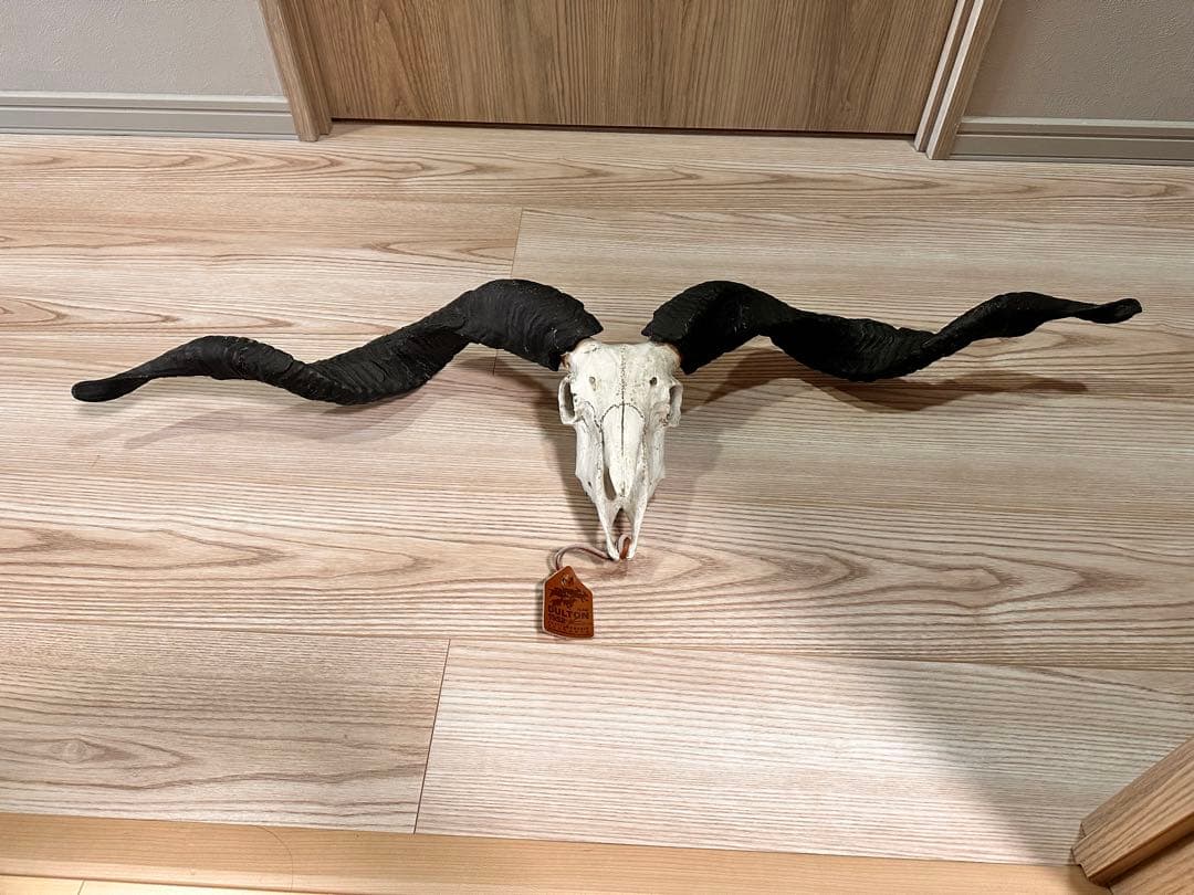 スカルオブジェ 骨 ブラック　【ダルトン】　DULTON