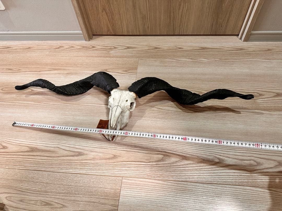 スカルオブジェ 骨 ブラック　【ダルトン】　DULTON