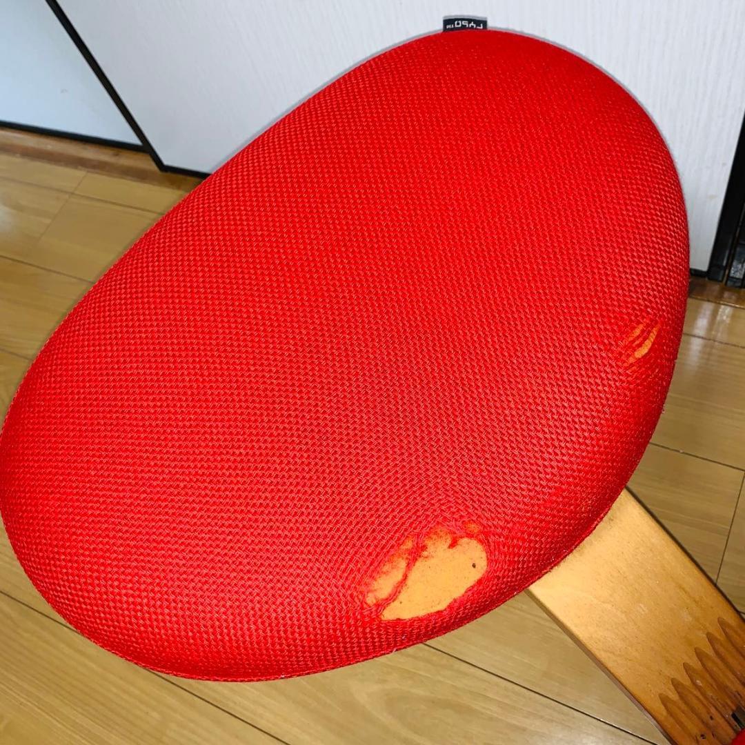 バランスチェア バランスイージー リボ社 バランスチェア バランスチェア