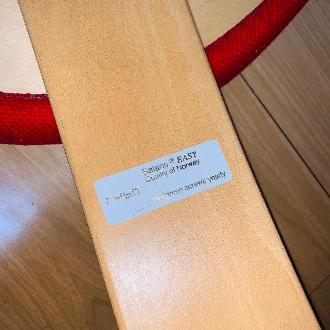 バランスチェア バランスイージー リボ社 バランスチェア バランスチェア