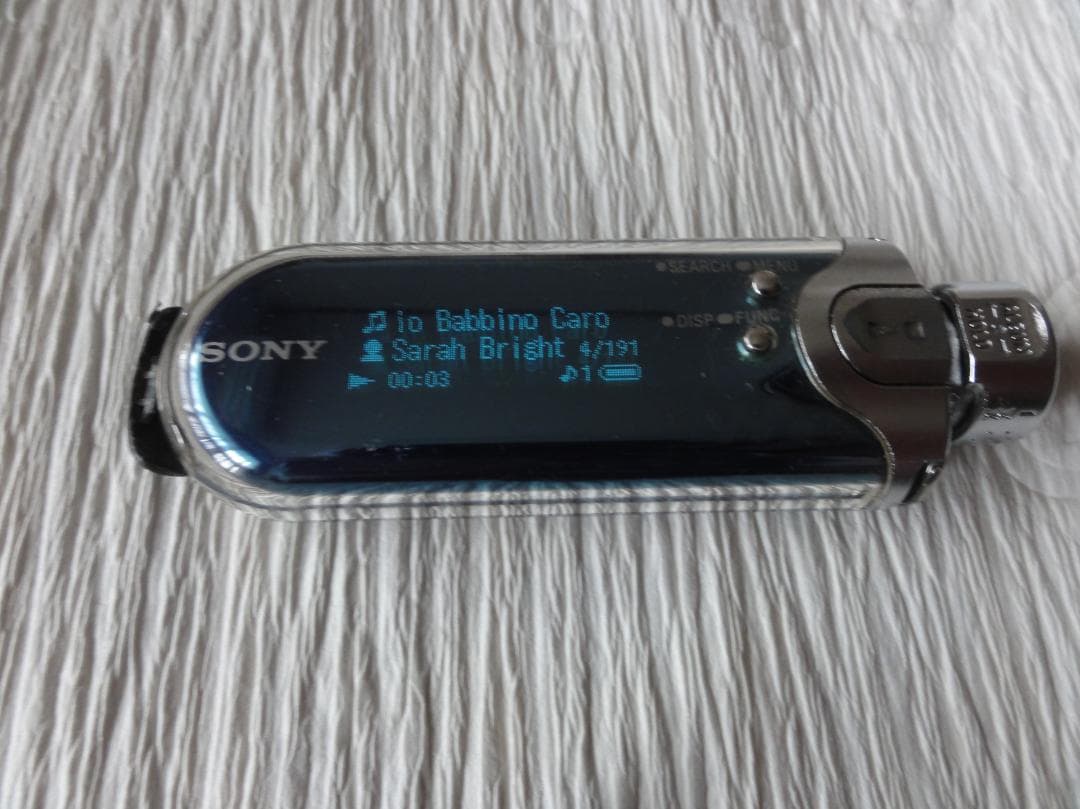 ポータブルプレーヤー SONY NW-E507