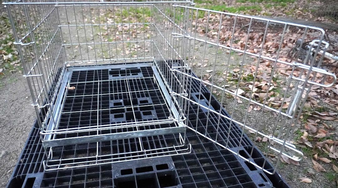 ハチコウ ステンレスケージ Mサイズ