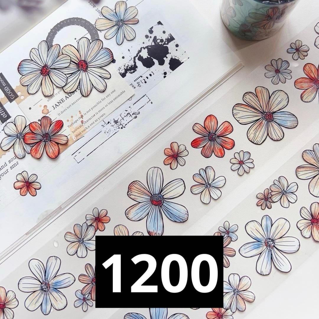 みどちゃん　0729