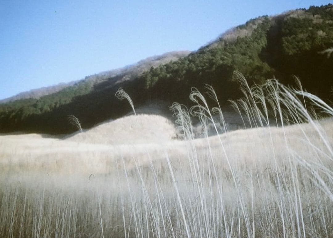 Olympus Af-1 フィルムカメラ