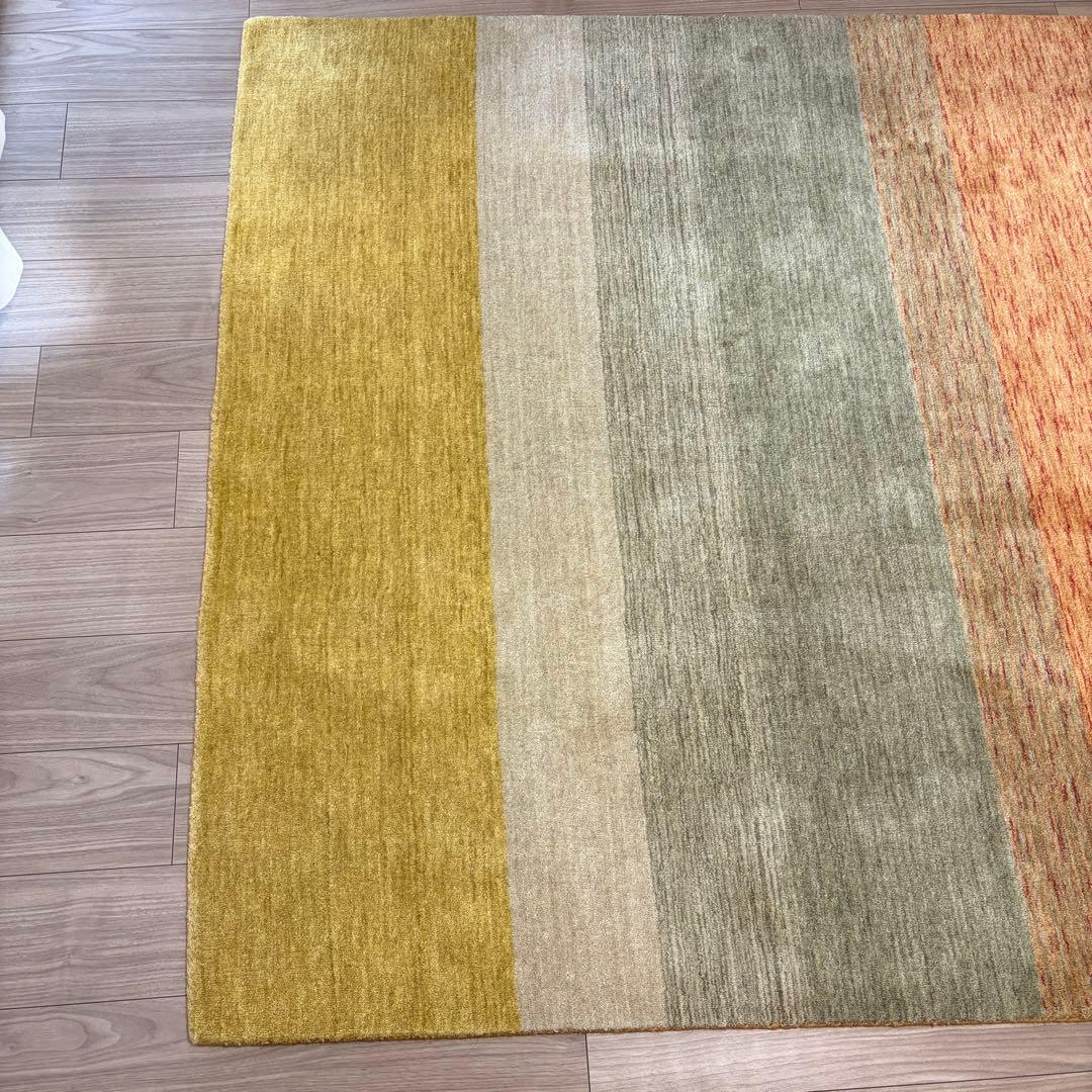 ハグみじゅうたん てざわりコレクションシリーズ ER6175-170 Mサイズ