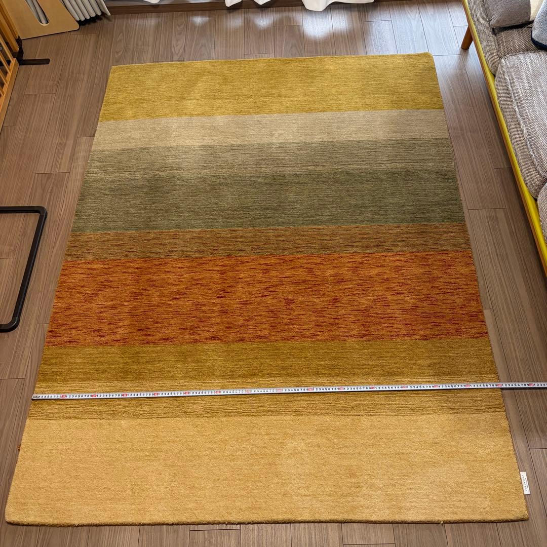 ハグみじゅうたん てざわりコレクションシリーズ ER6175-170 Mサイズ