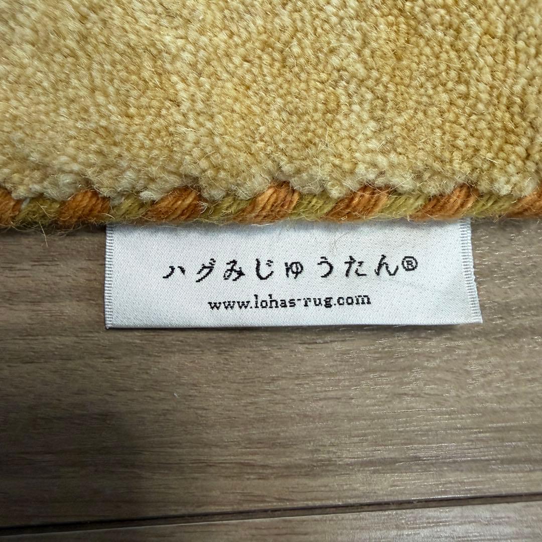 ハグみじゅうたん てざわりコレクションシリーズ ER6175-170 Mサイズ