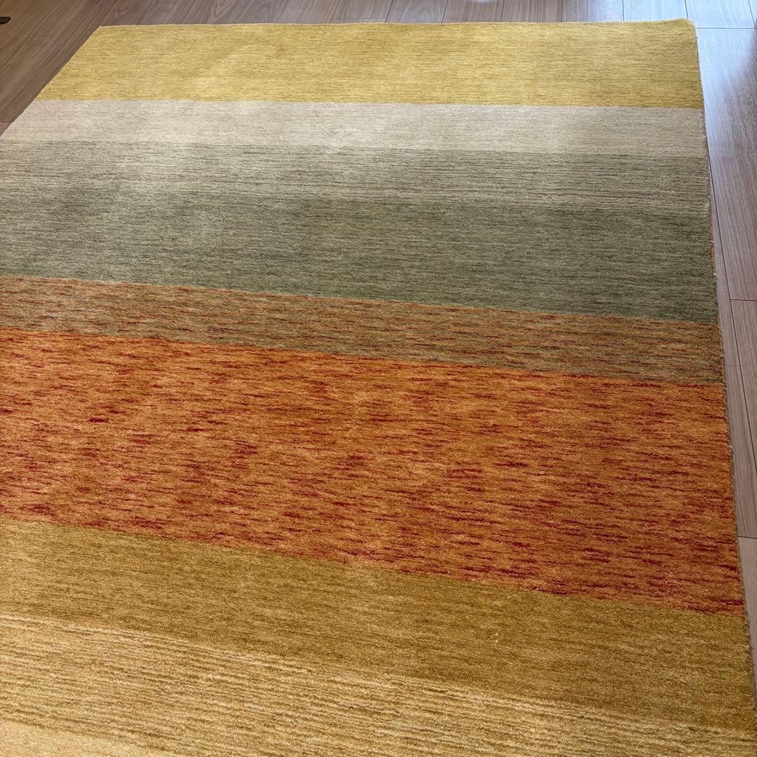 ハグみじゅうたん てざわりコレクションシリーズ ER6175-170 Mサイズ