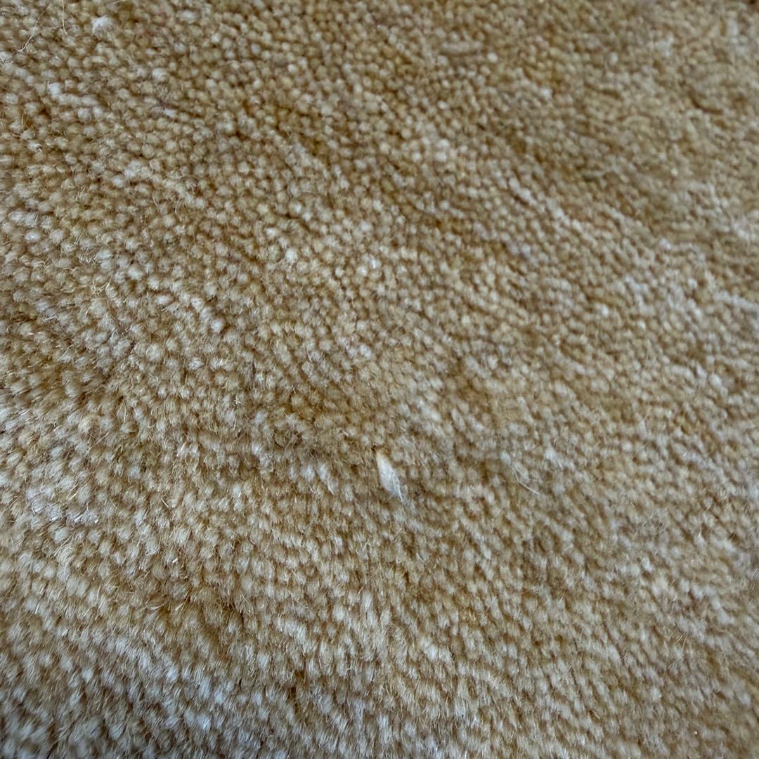 ハグみじゅうたん てざわりコレクションシリーズ ER6175-170 Mサイズ