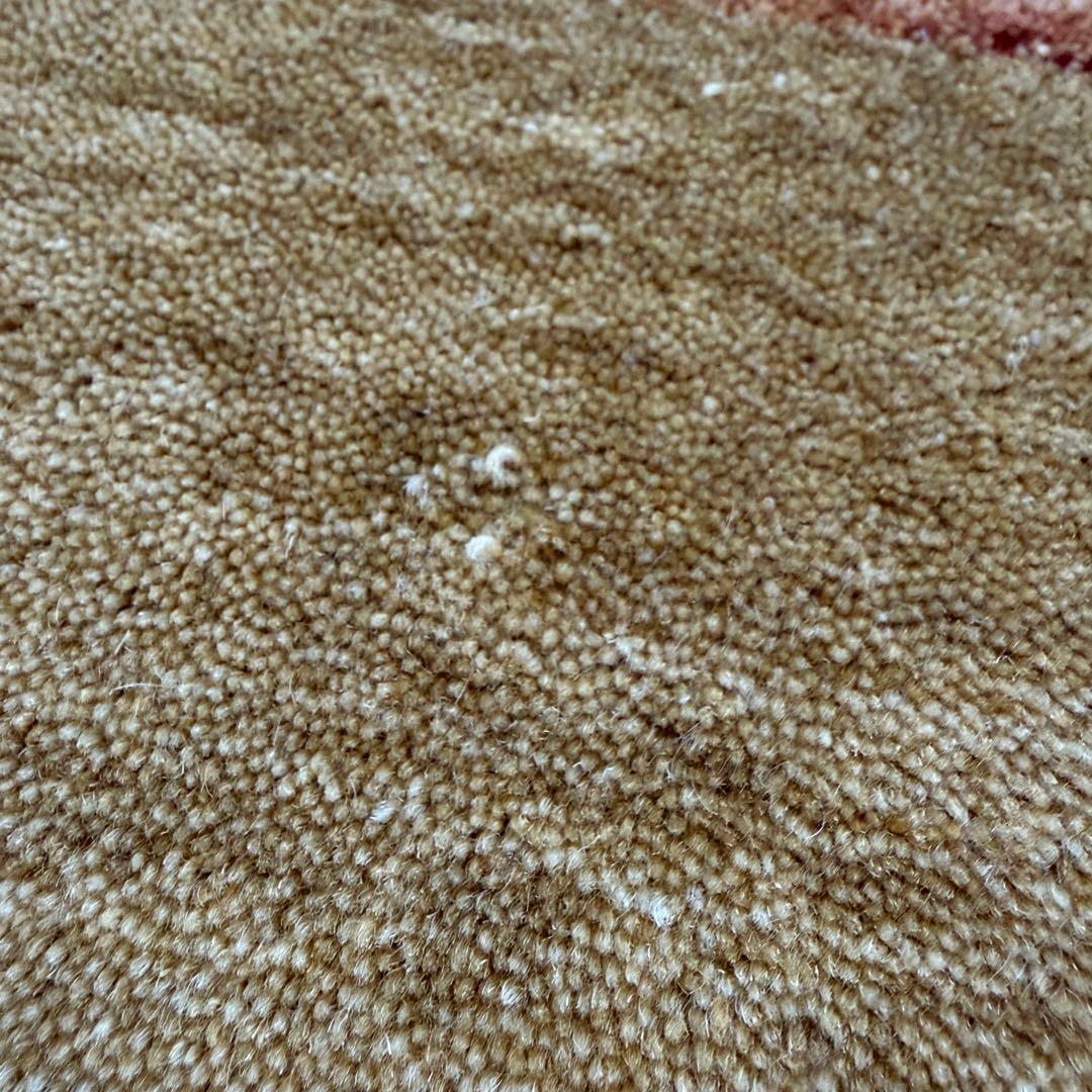 ハグみじゅうたん てざわりコレクションシリーズ ER6175-170 Mサイズ